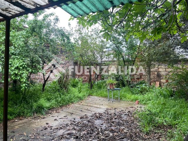 place photo 24