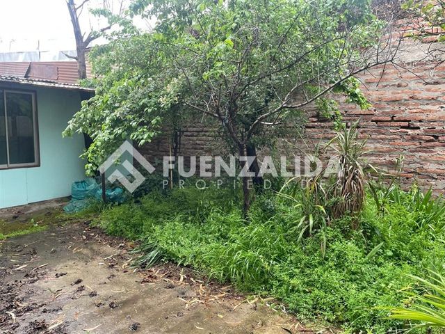 place photo 28