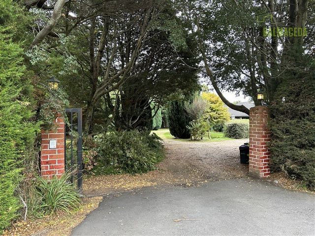 place photo 31