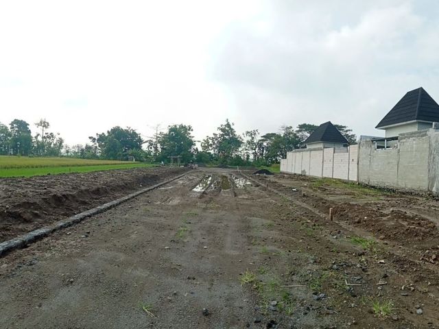 place photo 6