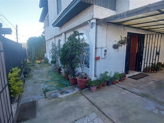 place photo 37