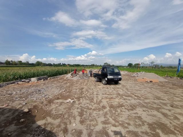 place photo 5