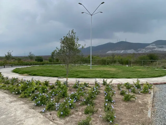 place photo 34