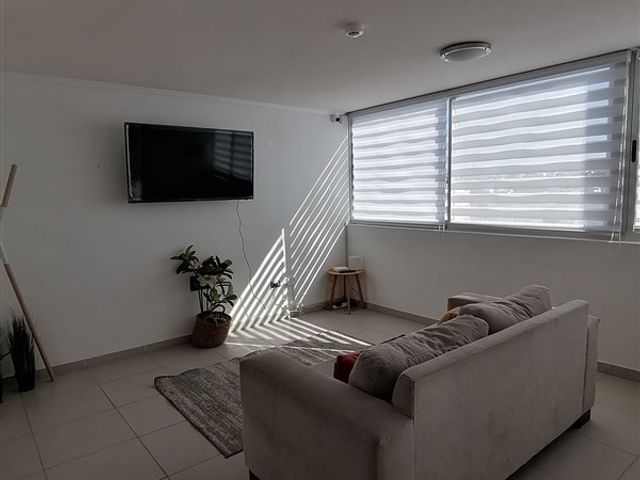 place photo 34