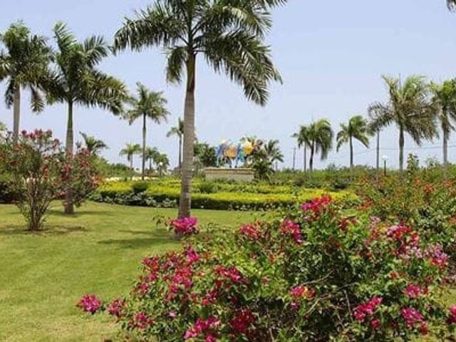 place photo 22