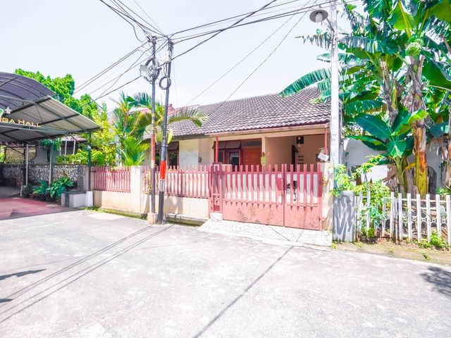 place photo 38