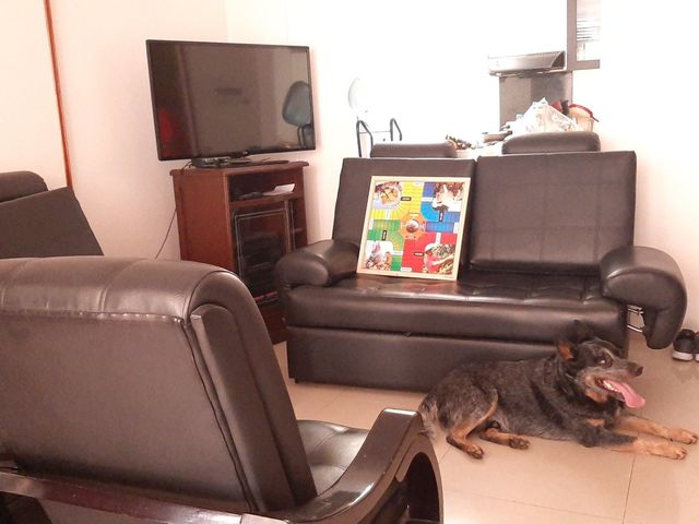place photo 5