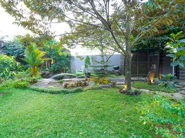 place photo 59