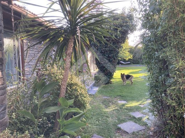 place photo 42