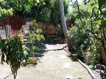 place photo 31
