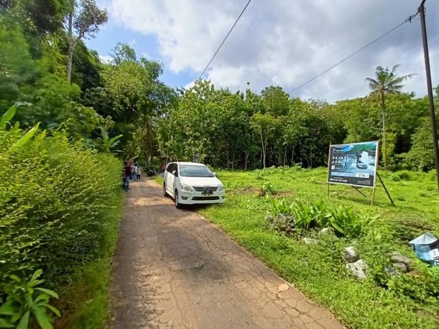 place photo 6