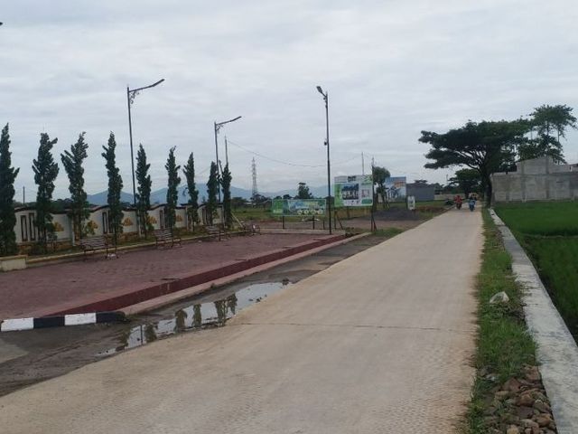 place photo 7