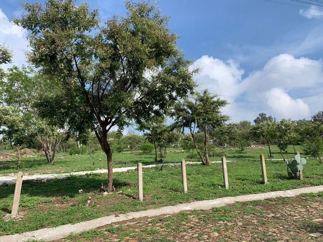 place photo 30