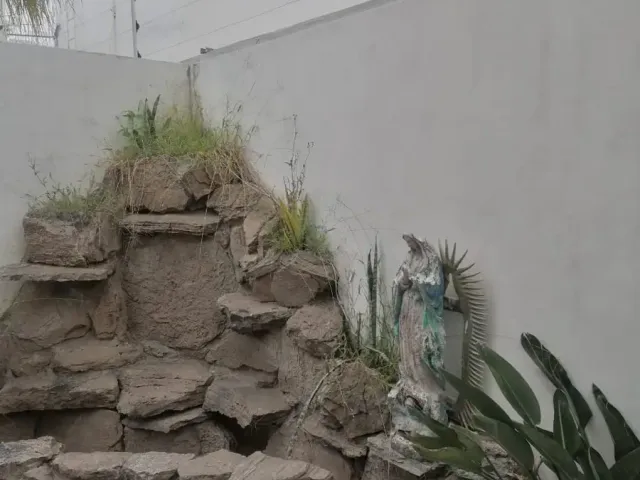 place photo 20