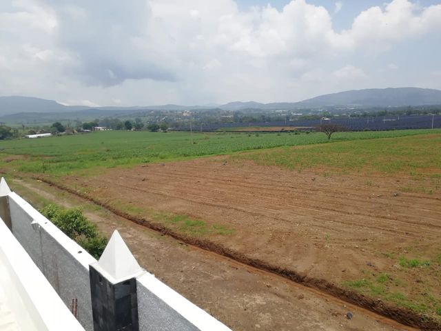 place photo 27