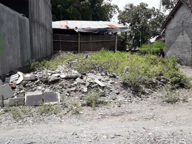 place photo 4