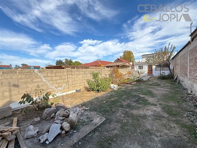 place photo 18