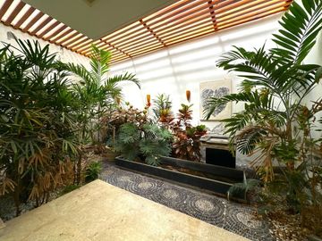 place photo 24