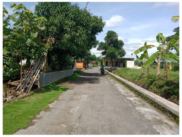 place photo 6