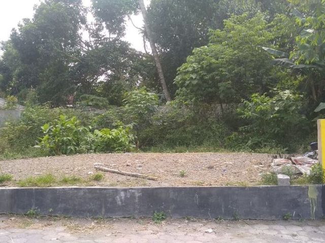 place photo 4