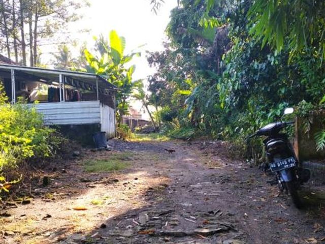 place photo 5