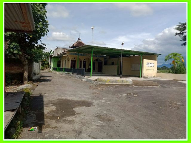 place photo 2
