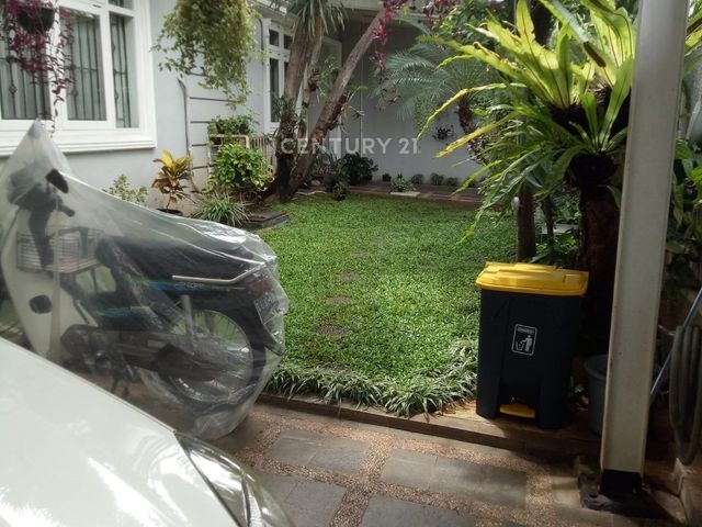 place photo 8
