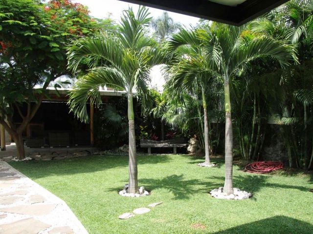 place photo 18