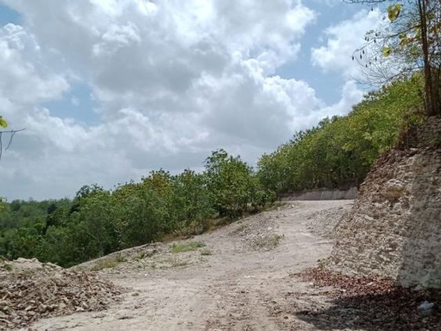 place photo 10
