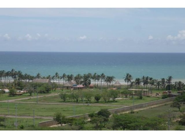 place photo 26