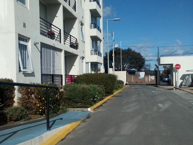 place photo 14