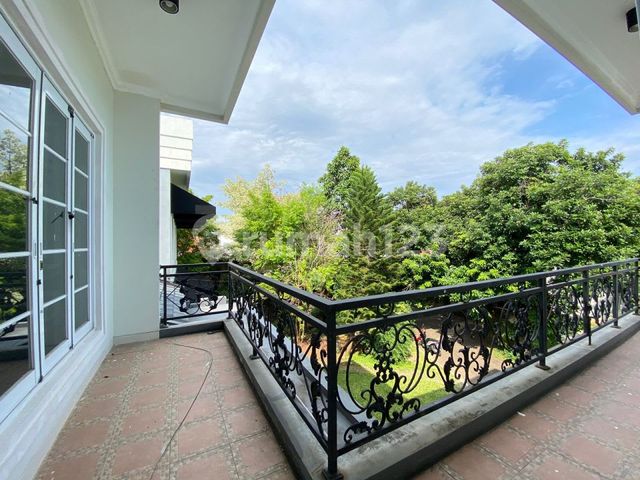 place photo 37