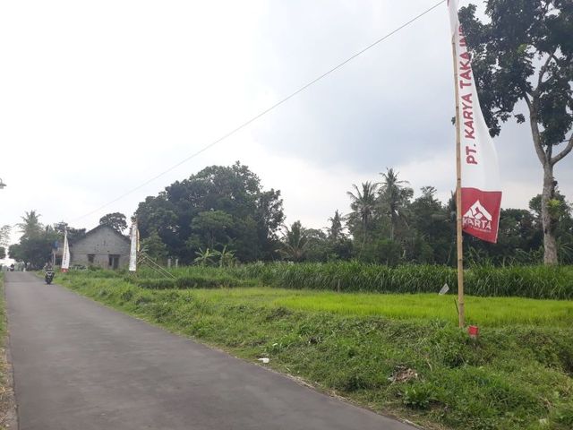 place photo 3