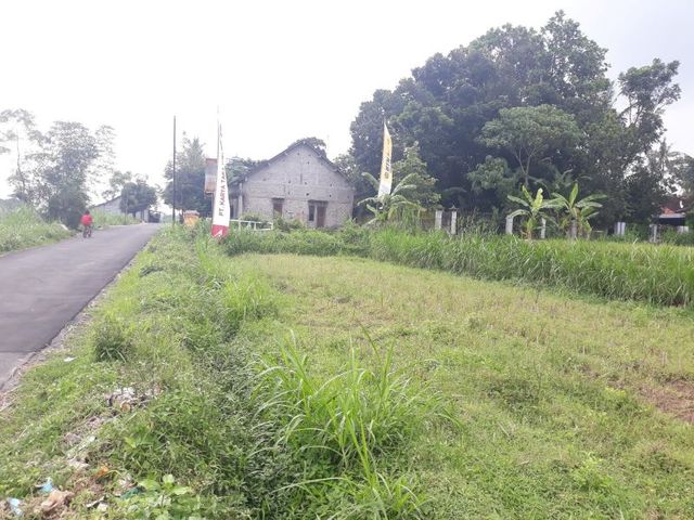 place photo 4