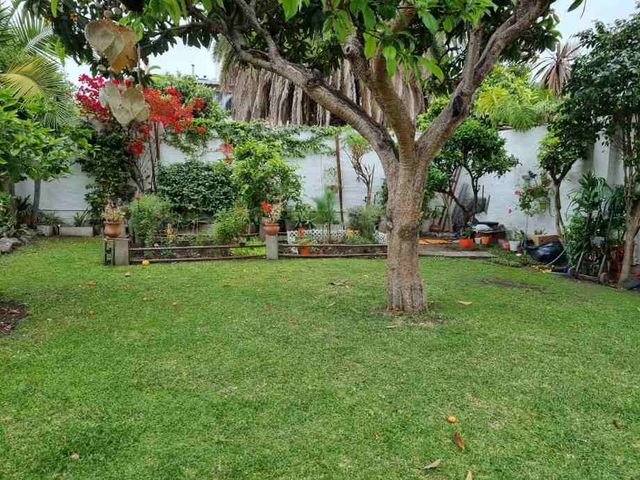 place photo 35