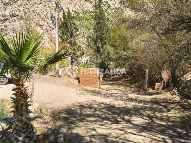 place photo 42