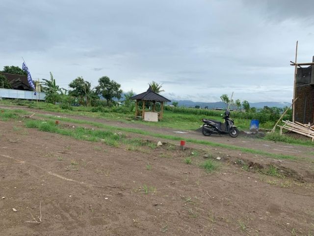 place photo 7