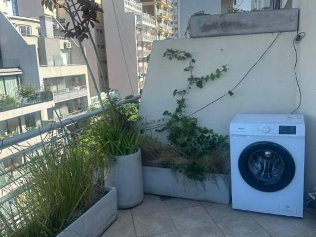 place photo 24