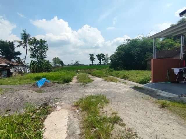 place photo 5