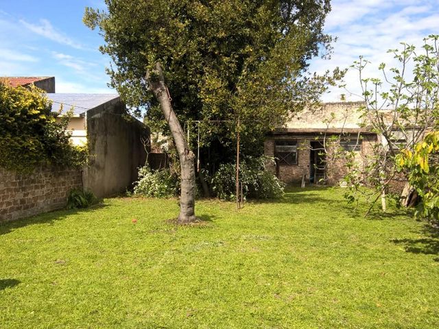 place photo 17