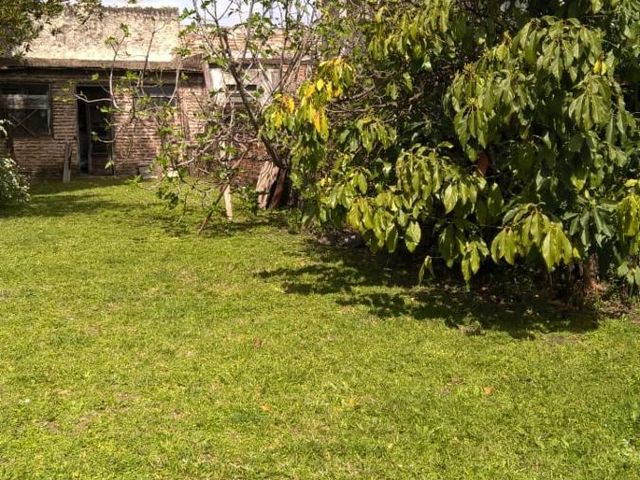 place photo 13
