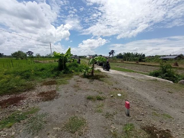 place photo 3