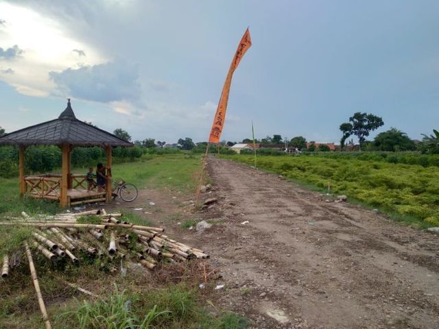 place photo 4