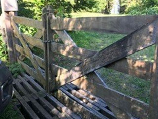 place photo 20