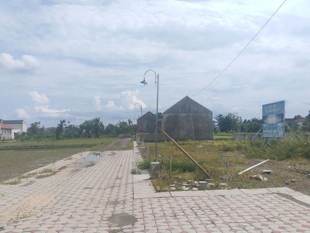place photo 3