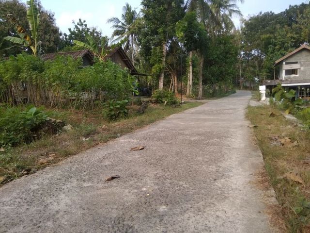 place photo 5