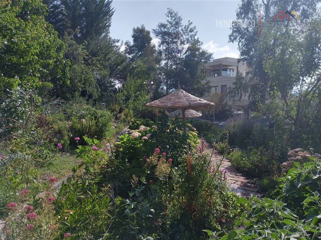 place photo 33
