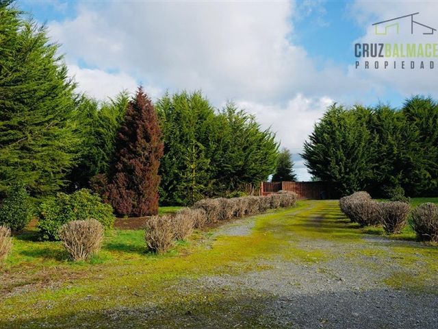 place photo 40