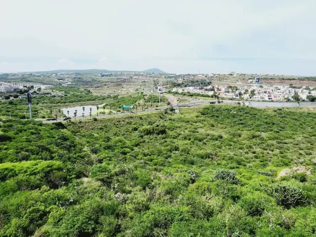 place photo 43