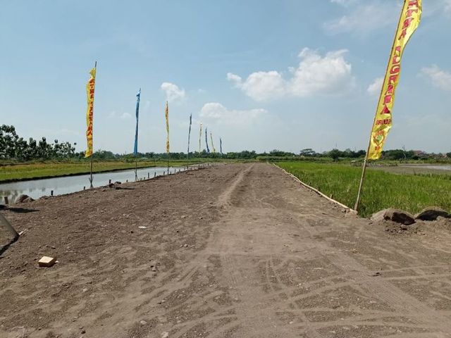 place photo 4